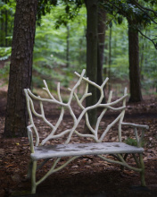 Images Shw2009_11.jpg